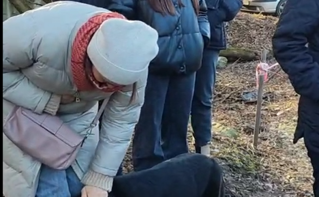 С заботой о тех, кто&hellip;